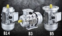 立式三相異步電動機是什么樣的_上海生產廠家(馭典重工)